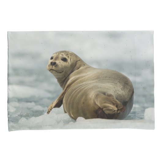 警戒封印 枕カバー (正面右)