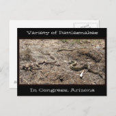 議会のラトルズナークの様々… ポストカード (正面/裏面)