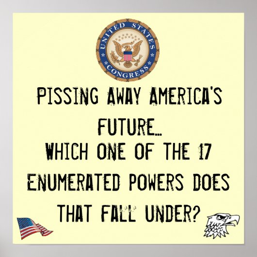 議会の権限 ポスター (正面)