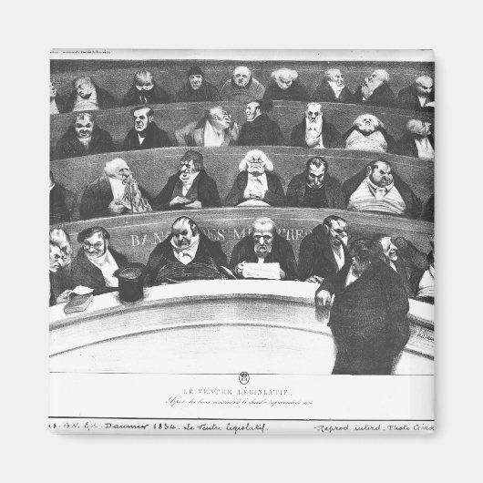 議会の胃 マグネット (正面)