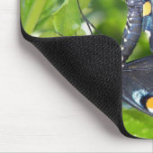 議会、アリゾナPipevineのアゲハチョウの蝶 マウスパッド (コーナー)