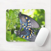 議会、アリゾナPipevineのアゲハチョウの蝶 マウスパッド (マウス)