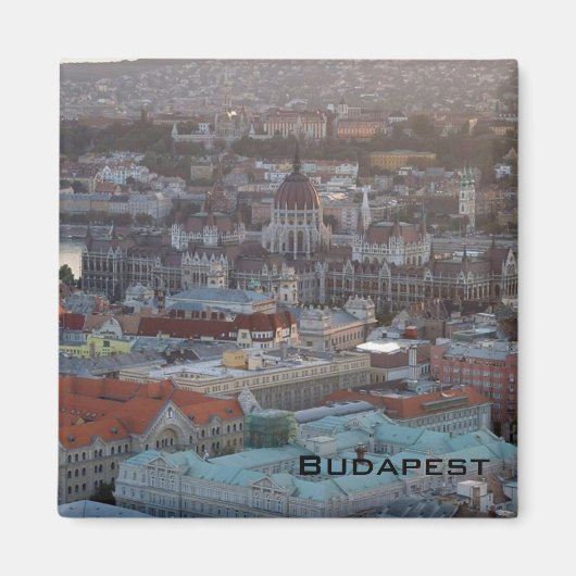 議会 マグネット (正面)