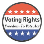 議決権の自由投票 アイスホッケーパック (正面)