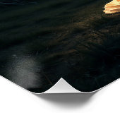 谷で ポスター (コーナー)