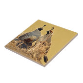 谷のウズラ(カリフォルニア) タイル (側面)