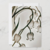 谷のセピアX線リリーを作成 招待状 (裏面)