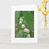 谷のブランクの挨拶のユリ カード (黄色い花)