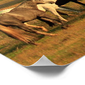 谷のポスターの野生の馬 ポスター (角)