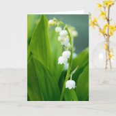 谷のユリ カード (黄色い花)