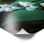 谷のユリ フォトプリント            (角)