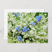 谷のユリ ポストカード (正面/裏面)