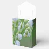 谷のリリー フェイバーボックス (オープン)