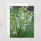 谷のリリー ポストカード (正面/裏面)