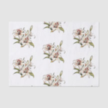 谷のリリー。咲くオレンジリリーの茎