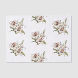 谷のリリー。咲くオレンジリリーの茎 薄葉紙