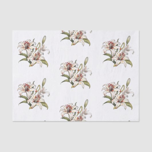 谷のリリー。咲くオレンジリリーの茎 薄葉紙 (正面)