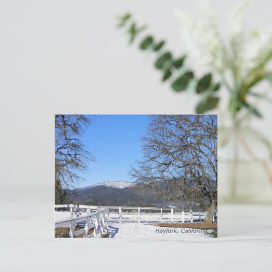 谷の冬….. ポストカード (スタンド正面)