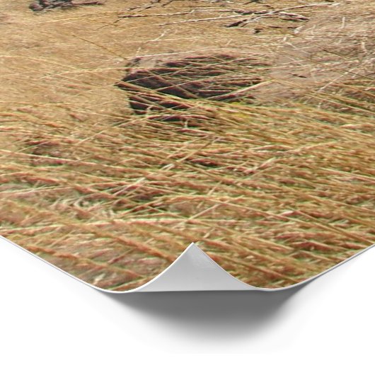 谷の勾配 ポスター (角)