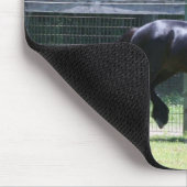 谷の子馬の早足 マウスパッド (コーナー)