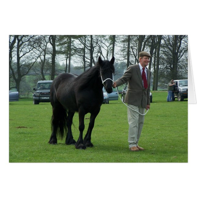 谷の子馬カード (正面横)