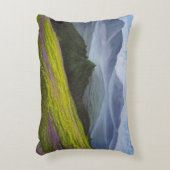 「谷の平和」 アクセントクッション (正面(垂直))