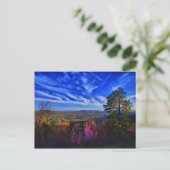 谷の平和 ポストカード (スタンド正面)