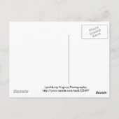 谷の平和 ポストカード (裏面)