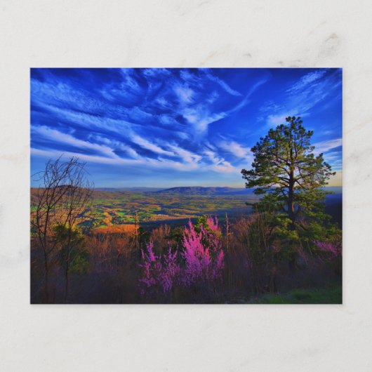 谷の平和 ポストカード (正面)