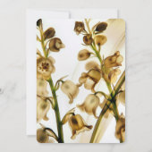 谷の独自の黄色のX線リリーを作成 招待状 (裏面)