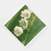 谷の白いユリ(Convallaria majalis) (コーナー)