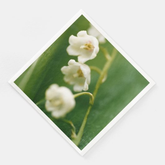 谷の白いユリ(Convallaria majalis) (コーナー)