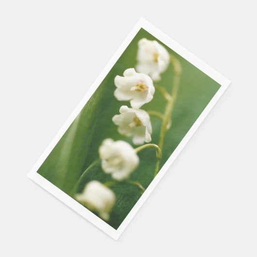 谷の白いユリ(Convallaria majalis) (コーナー)