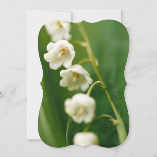 谷の白いユリ(Convallaria majalis) カード (正面)