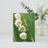 谷の白いユリ(Convallaria majalis) シーズンポストカード (スタンド正面)