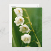谷の白いユリ(Convallaria majalis) シーズンポストカード (正面/裏面)