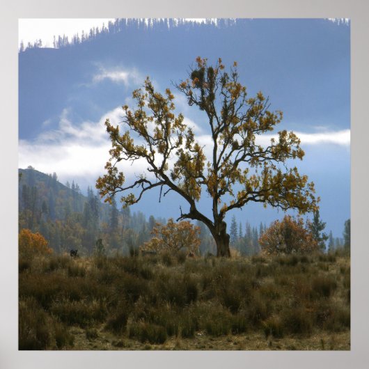 谷の霧を霧で… ポスター (正面)