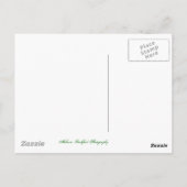 谷を越えて ポストカード (裏面)