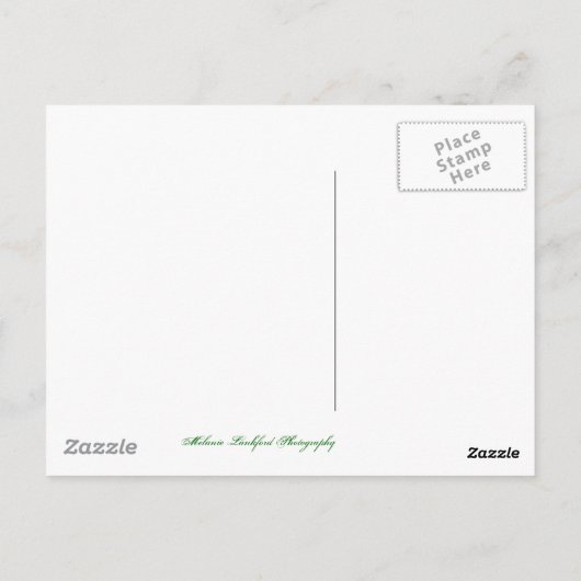 谷を越えて ポストカード (裏面)