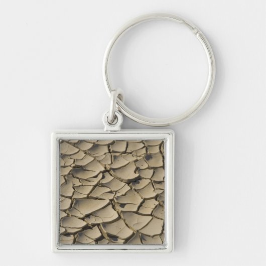 谷底の割れ土層 キーホルダー (正面)