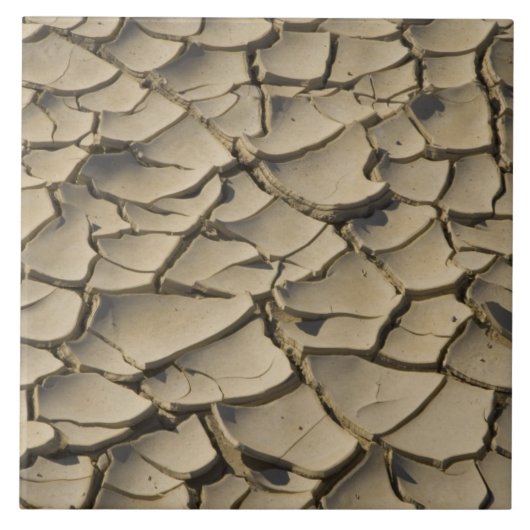 谷底の割れ土層 タイル (正面)