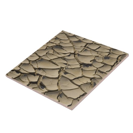 谷底の割れ土層 タイル (側面)