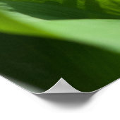 谷花のユリ ポスター (角)