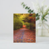 谷間の森林 ポストカード (スタンド正面)