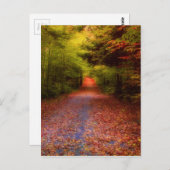 谷間の森林 ポストカード (正面/裏面)