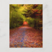 谷間の森林 ポストカード (正面)