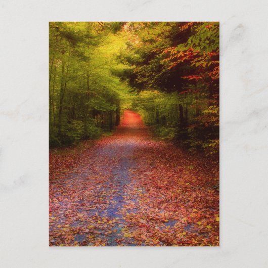 谷間の森林 ポストカード (正面)