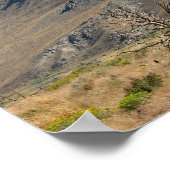 谷 ポスター (角)