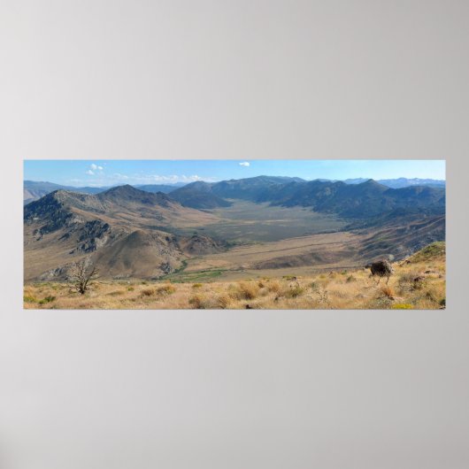 谷 ポスター (正面)