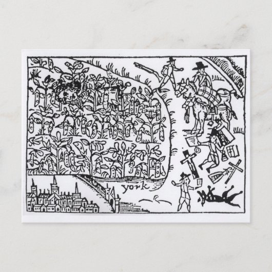 豆に隠れるルパート王子 ポストカード (正面)